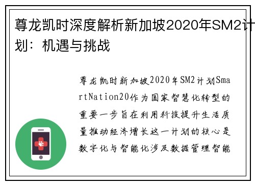 尊龙凯时深度解析新加坡2020年SM2计划：机遇与挑战