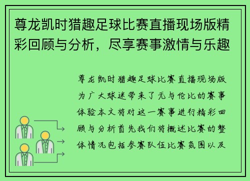 尊龙凯时猎趣足球比赛直播现场版精彩回顾与分析，尽享赛事激情与乐趣