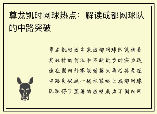 尊龙凯时网球热点：解读成都网球队的中路突破