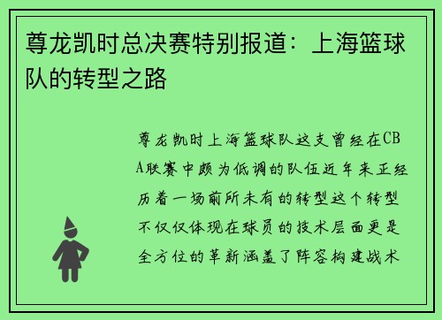 尊龙凯时总决赛特别报道：上海篮球队的转型之路