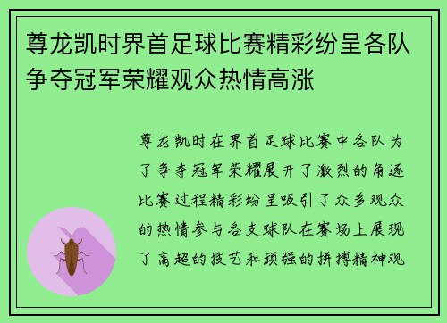 尊龙凯时界首足球比赛精彩纷呈各队争夺冠军荣耀观众热情高涨