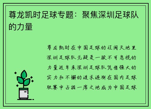 尊龙凯时足球专题：聚焦深圳足球队的力量